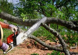 Mulching Services in Eden, TX